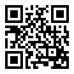 海南省国家税务局网上申报系统220.174.209.73:8001