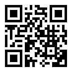 上海彪速网络科技有限公司